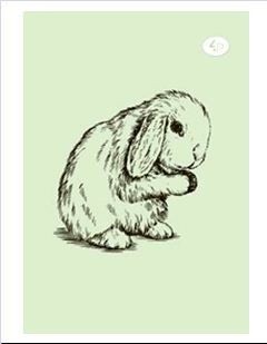 Блокнот Animal note rabbit В6